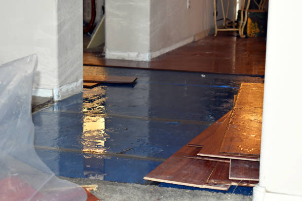 Professional Water Extraction technician working in Castle Rock, WA
